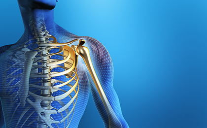 Shoulder/elbow/wrist pain